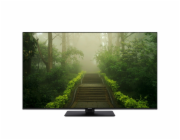 Panasonic TB-55W60AEZ schwarz