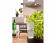 Zavlažovací sada Scheurich Copa, transparentní, 9 cm