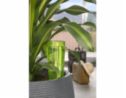 Scheurich Copa konev, zelená, 9 cm