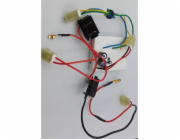 Invertor Dedra