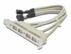 Digitus záslepka slotu s 4 USB porty, kabel 2x 10 Pin  0,25m
