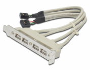 Digitus záslepka slotu s 4 USB porty, kabel 2x 10 Pin  0,25m