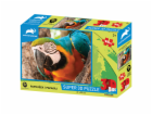 PRIME 3D PUZZLE - Papoušek 48 dílků