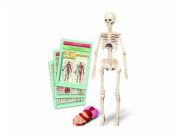 Vzdělávací hračka Clementoni The Human Body Mini-Set 50824
