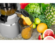 CONCEPT Odšťavňovač šnekový JUICY  LO7120