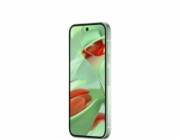 Google Pixel 9 - 256GB Wintergreen, EU