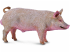 Collecta figurka BOAR