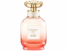 Coach  Dreams Sunset edp 40ml
