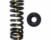 Brian Crower SADA s jednou pružinou/ocelovým ventilem (Honda D16Y8/D16Z6)