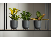 Hrnec Lamela Aria 226-04, plastový, H 16 cm, černý