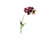 Lucky Reptile Jungle Plants kvetoucí Orchidej Lila, cca 40 cm bez základny