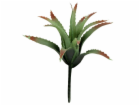 Lucky Reptile-Sukulenty Tillandsia, cca 17 cm bez základny