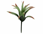 Lucky Reptile-Sukulenty Tillandsia, cca 17 cm bez základny