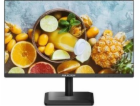 Monitor Hikvision DS-D5024FN01