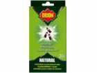 Orion Natural nástrahy na potravinové moly 2ks