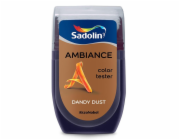 Tester barev Ambiance Dandy Dust 30 ml