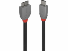 Lindy USB-C - micro-B USB kabel 1 m černý (36621)
