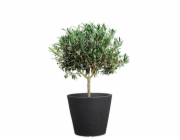 Hrnec Scheurich Stony Black, plast, O 47 cm