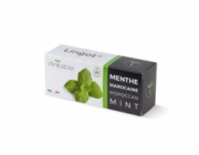 Véritable Lingot Marocká máta - BIO