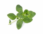 Véritable Lingot Petrželová nať - BIO