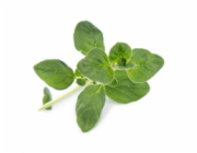 Véritable Lingot Pažitka - BIO