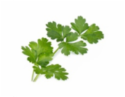 Véritable Lingot Italská petržel - BIO