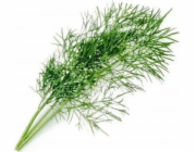 Véritable Lingot Kopr - BIO