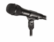 AT2010, mikrofon