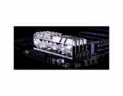 G.Skill DIMM 64 GB DDR4-3600 (4x 16 GB) Čtyřnásobná sada (stříbrná, F4-3600C16Q-64GTESC, Trident Z Royal Elite, INTEL XMP)