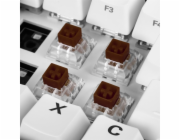 Kailh Box Brown Switch-Set, Tastenschalter
