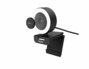Webová kamera Hama 00139993 C-800 Pro