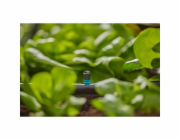 Hubice koncové lišty Micro-Drip System, 5 kusů