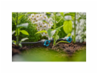 Micro-Drip System Nastavitelný sériový kapkovač 1-8 l/h, ...