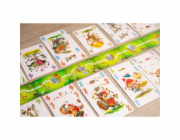 Pegasus Schotten Totten, desková hra