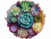 EscapeWelt Dřevěné puzzle Sukulenty 500 dílků