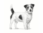 ROYAL CANIN Gastrointestinal Low Fat Small VHN - suché krmivo pro psy - 3,5kg