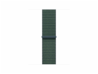 Watch Acc/42/Lake Green Sport Loop