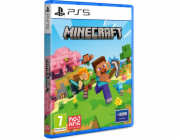 PS5 - Minecraft