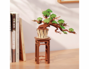 RoboTime 3D dřevěná skládačka Bonsaj borovice