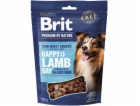 BRIT Premium Dog Snack Jehněčí s Rakytníkem - pamlsky pro...