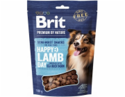 BRIT Premium Dog Snack Jehněčí s Rakytníkem - pamlsky pro psy - 180g