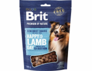 BRIT Premium Dog Snack Jehněčí s Rakytníkem - pamlsky pro psy - 180g