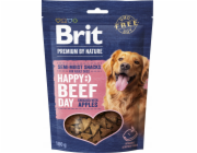BRIT Premium Dog Snack Beef with Apples - pamlsky pro psy - 180g