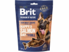 BRIT Premium Dog Snack Losos s Koprem – pamlsek pro psy –...