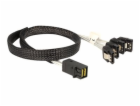 Delock - Kabel SATA/SAS - SAS 6Gbit/s - 4 linky - 4 x Min...