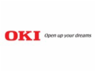 OKI EP-CART-C-8431/8441/Pro8432WT