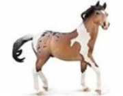 Figurka Collecta  STALLION MUSTANG STALLION BAY PINTOLOOSA - DELUXE MĚŘÍTKO 1:12