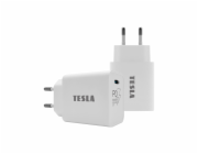 TESLA Power Charger T100