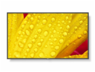 NEC 65" velkoformátový display MultiSync M651-2 - 24/7, 5...