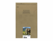 Epson 24 Multipack Easy Mail Packaging - 6-balení - 29.1 ml - černá, žlutá, azurová, purpurová, světlá fialová, světle azurová - originální - pouzdro - inkoustová cartridge - pro Expression Photo XP-5